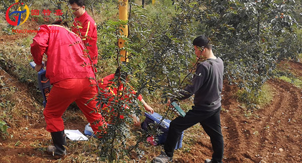 管線檢測公司作業 管線檢測公司作業