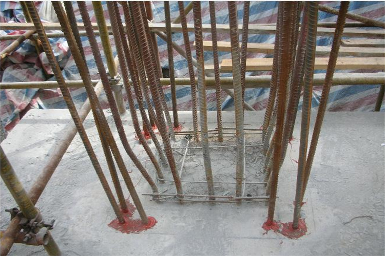 植筋01_副本 植筋01_副本